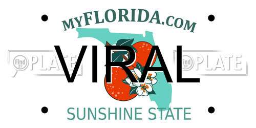 VIRAL Florida License Plate
