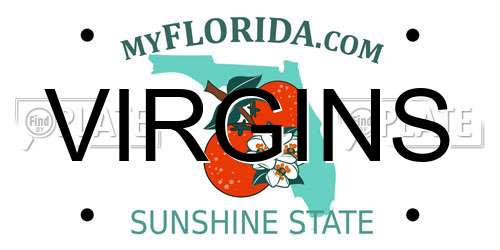 VIRGINS Florida License Plate