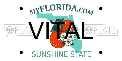 VITAL Florida License Plate