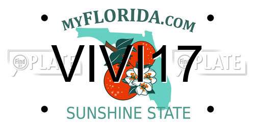 VIVI17 Florida License Plate