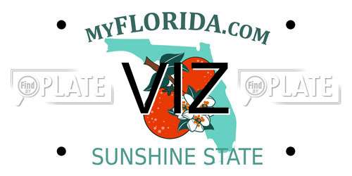 VIZ Florida License Plate