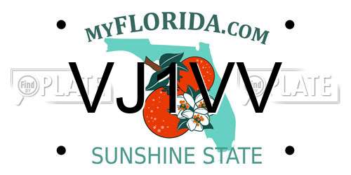 VJ1VV Florida License Plate