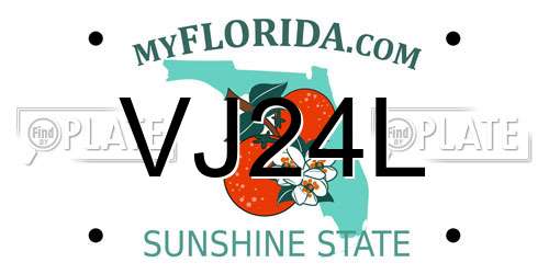 VJ24L Florida License Plate