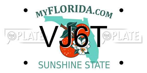 VJ6T Florida License Plate