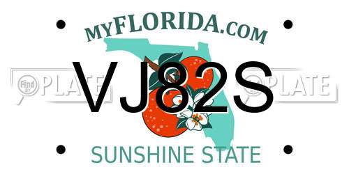 VJ82S Florida License Plate