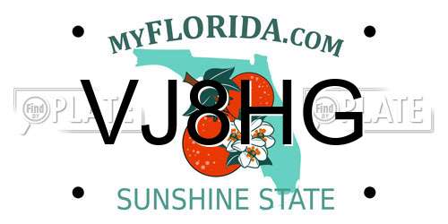 VJ8HG Florida License Plate