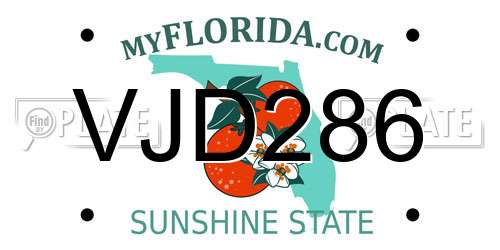 VJD286 Florida License Plate