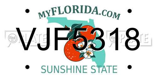 VJF5318 Florida License Plate