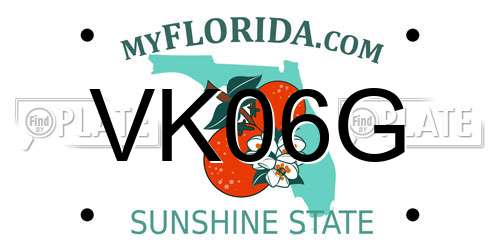 VK06G Florida License Plate