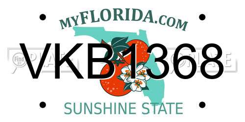 VKB1368 Florida License Plate