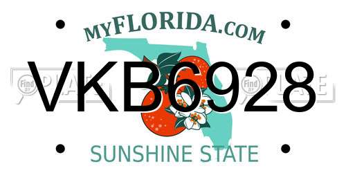 VKB6928 Florida License Plate