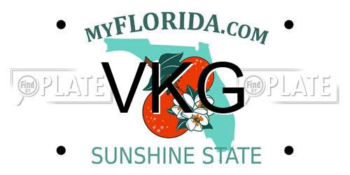 VKG Florida License Plate