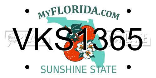 VKS1365 Florida License Plate
