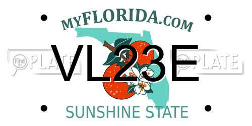 VL23E Florida License Plate