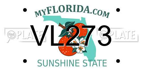 VL273 Florida License Plate
