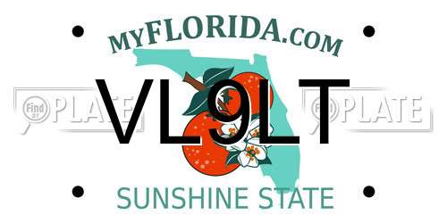 VL9LT Florida License Plate