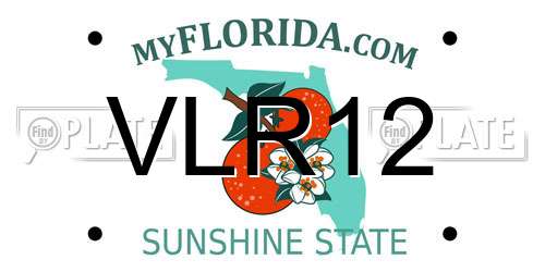 VLR12 Florida License Plate