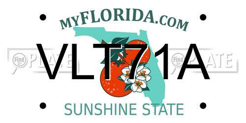 VLT71A Florida License Plate