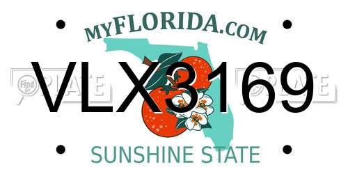 VLX3169 Florida License Plate