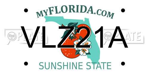 VLZ21A Florida License Plate