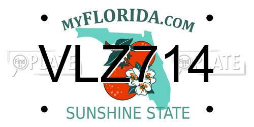 VLZ714 Florida License Plate