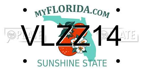 VLZZ14 Florida License Plate