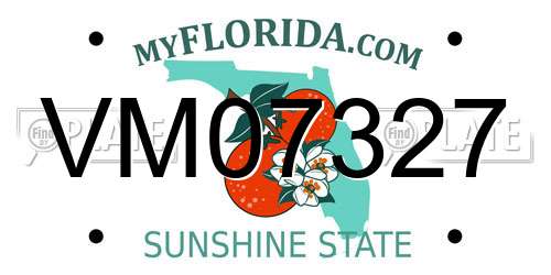 VM07327 Florida License Plate