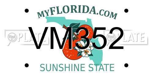 VM352 Florida License Plate