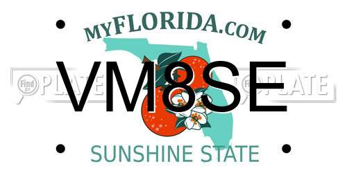 VM8SE Florida License Plate