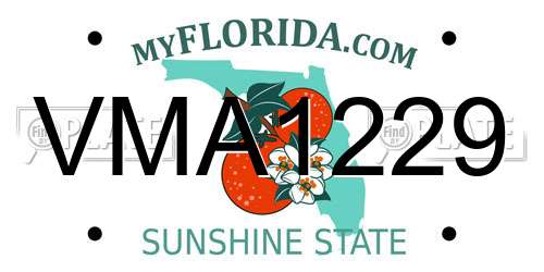 VMA1229 Florida License Plate