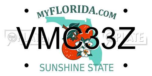 VMC33Z Florida License Plate