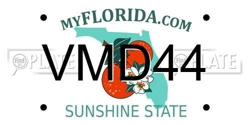VMD44 Florida License Plate