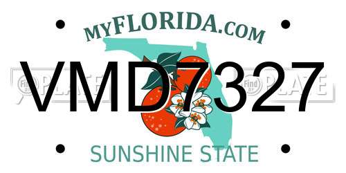 VMD7327 Florida License Plate