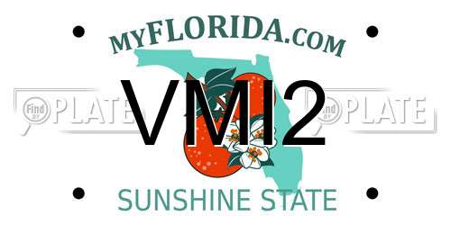 VMI2 Florida License Plate