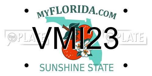 VMI23 Florida License Plate
