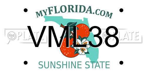 VML38 Florida License Plate