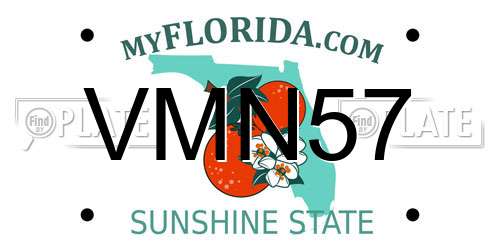 VMN57 Florida License Plate