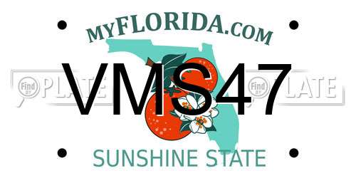 VMS47 Florida License Plate