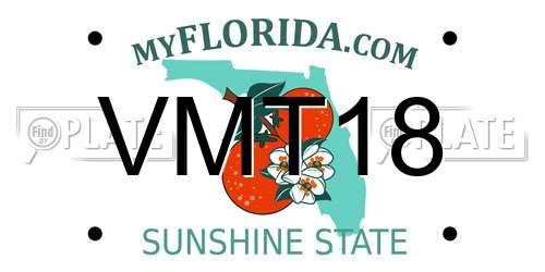 VMT18 Florida License Plate