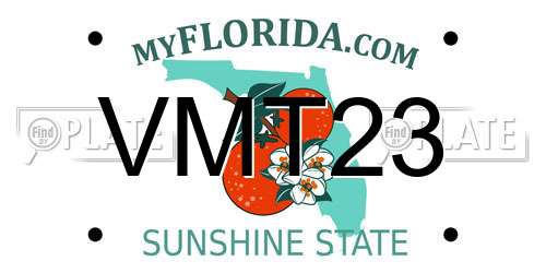 VMT23 Florida License Plate