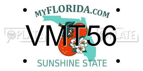 VMT56 Florida License Plate