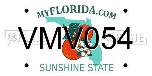 VMV054 Florida License Plate