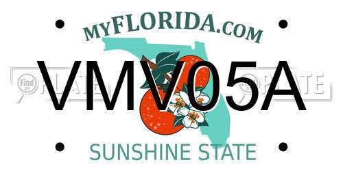 VMV05A Florida License Plate