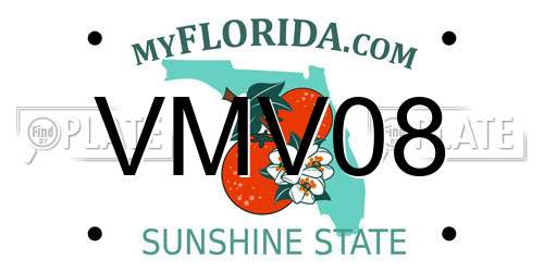 VMV08 Florida License Plate