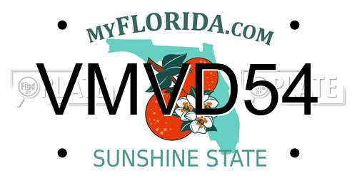 VMVD54 Florida License Plate