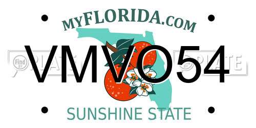 VMVO54 Florida License Plate