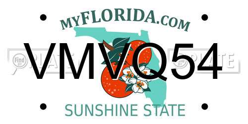 VMVQ54 Florida License Plate