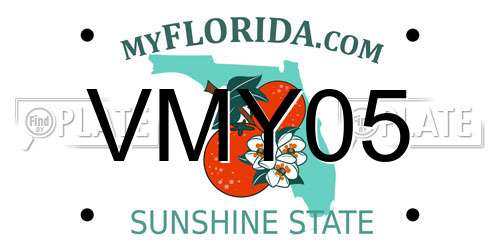 VMY05 Florida License Plate
