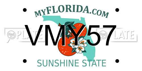 VMY57 Florida License Plate