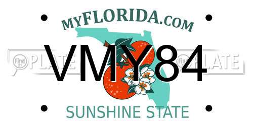 VMY84 Florida License Plate
